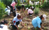 現(xiàn)代農(nóng)業(yè)技術系開展“栽花活動”美化校園